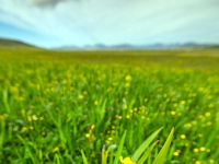 Isle of Lewis and Harris
